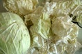 White cabbage, white cabbage to make stuffed Royalty Free Stock Photo