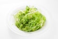 White cabbage on white Royalty Free Stock Photo