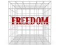 White cage with freedom concept Royalty Free Stock Photo