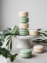 A white cake stand displays a stack of pastel-colored macarons Royalty Free Stock Photo