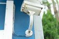 A white camera on a blue wall surveys the forest. Royalty Free Stock Photo