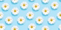 White camomiles on a blue background. Seamless pattern. Royalty Free Stock Photo