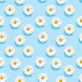 White camomiles on a blue background. Seamless pattern. Royalty Free Stock Photo