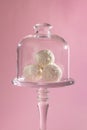 White candy balls, coconut pralines dessert, beautiful glass stand, delicate pink background, exquisite dessert gift