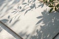 White canvas board with shadows of leaves and branches casting a natural pattern Royalty Free Stock Photo