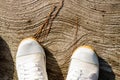 White canvas shoes walking on concrete floor. Royalty Free Stock Photo