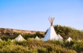 White canvas teepees or wigwams camped in a field