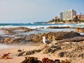 Waves Washing Over Ocean Rocks, Cronulla Beach, Sydney, Australia Royalty Free Stock Photo