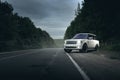 White car Land Rover Range Rover standing on asphalt road near forest at dusk Royalty Free Stock Photo