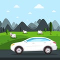 White Car Trip Vector Design. Cows on Field