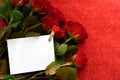 White card with a copy space against the background of red roses, a postcard valentine`s day Royalty Free Stock Photo