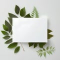 White card with green leaves on white background. Flat lay, top view. Royalty Free Stock Photo