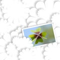 White card lucky shamrock, four-leaf clover