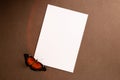 White card with orange butterfly in retro style.Abstract creative background for text. Elegant, modern style. Romantic