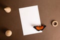 White card with orange butterfly in retro style.Abstract creative background for text. Elegant, modern style. Romantic