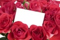 White card in roses