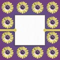 White Card with yellow daisies background