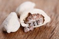 White cardamom pods on old wood one opened Royalty Free Stock Photo