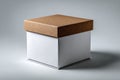 white cardboard box with brown lid on white background Royalty Free Stock Photo