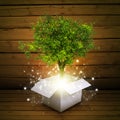 White cardboard box with magical green tree