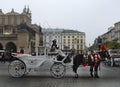 White carriage with two beautiful horses