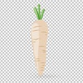 A white carrots icon isolated on white background vector illustration