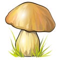 White cartoon mushroom boletus. Vector colorful illustration