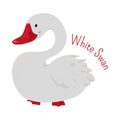 White cartoon swan isolated