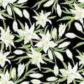 White Casa Blanca Oriental Lily. Seamless pattern of flowers, buds and leaves. Vector illustration.