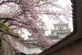 White Castle Himeji Castle in cherry blooson sakura blooming Royalty Free Stock Photo