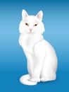 White cat Royalty Free Stock Photo