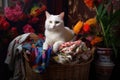 a white cat in a basket, wool socks strewn around