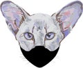 White cat in black mask illustration covid 19