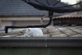 A white cat curled up on the roof