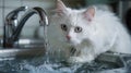 White Cat Drinking Water From Faucet Royalty Free Stock Photo