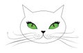 White Cat Face With Green Eyes