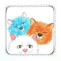 Three multi-colored kittens on a white background in a thin frame