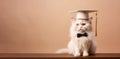 White Cat in Graduation Hat with Bow Tie Royalty Free Stock Photo
