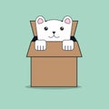 White cat in opened box Cat inside opened cardboard package box. vector illustration cat concept