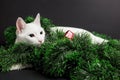 White cat playing in christmas decorations made of tinsel Royalty Free Stock Photo