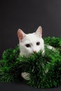 White cat playing in christmas decorations made of tinsel Royalty Free Stock Photo