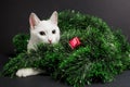 White cat playing in christmas decorations made of tinsel Royalty Free Stock Photo