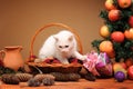 White cat playing with a plush mice Royalty Free Stock Photo