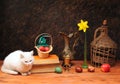 White cat posing next to books and flowers Royalty Free Stock Photo