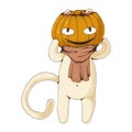 White cat with pumpkin head and cute cozy scarf. Vector cartoon illustration. Halloween concept. Card concept.