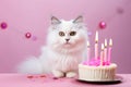 A white cat sits calmly in front of a birthday cake adorned with lit candles, Cute white cat pictured with a birthday cake on a Royalty Free Stock Photo