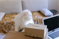 White Cat Sitting on Table And Wants to Get Into Big Box. Royalty Free Stock Photo