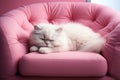 white cat sleeping on pink sofa, AI generated Royalty Free Stock Photo