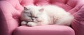 white cat sleeping on pink sofa, AI generated Royalty Free Stock Photo