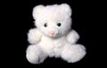 White Cat Soft Toy Royalty Free Stock Photo